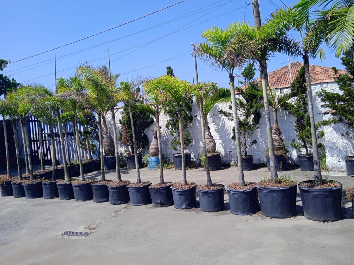 Pousada Sereia Jofisa Itanhaém Buitenkant foto
